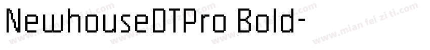 NewhouseDTPro Bold字体转换